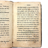 C. Mid 19th Century Natural History Catechism Book with Wonderful Hand-colored Engravings