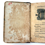 C. Mid 19th Century Natural History Catechism Book with Wonderful Hand-colored Engravings