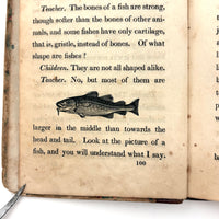C. Mid 19th Century Natural History Catechism Book with Wonderful Hand-colored Engravings