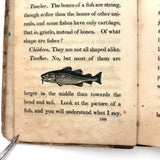 C. Mid 19th Century Natural History Catechism Book with Wonderful Hand-colored Engravings