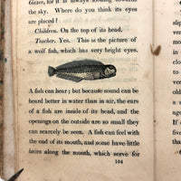 C. Mid 19th Century Natural History Catechism Book with Wonderful Hand-colored Engravings