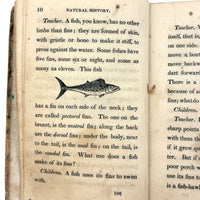 C. Mid 19th Century Natural History Catechism Book with Wonderful Hand-colored Engravings