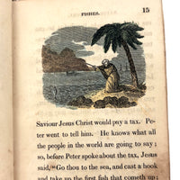 C. Mid 19th Century Natural History Catechism Book with Wonderful Hand-colored Engravings