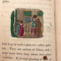 C. Mid 19th Century Natural History Catechism Book with Wonderful Hand-colored Engravings