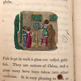 C. Mid 19th Century Natural History Catechism Book with Wonderful Hand-colored Engravings