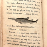 C. Mid 19th Century Natural History Catechism Book with Wonderful Hand-colored Engravings