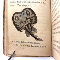 C. Mid 19th Century Natural History Catechism Book with Wonderful Hand-colored Engravings