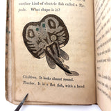 C. Mid 19th Century Natural History Catechism Book with Wonderful Hand-colored Engravings