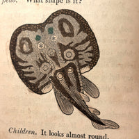 C. Mid 19th Century Natural History Catechism Book with Wonderful Hand-colored Engravings