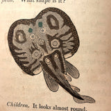 C. Mid 19th Century Natural History Catechism Book with Wonderful Hand-colored Engravings