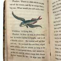 C. Mid 19th Century Natural History Catechism Book with Wonderful Hand-colored Engravings