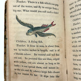 C. Mid 19th Century Natural History Catechism Book with Wonderful Hand-colored Engravings