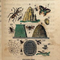 C. Mid 19th Century Natural History Catechism Book with Wonderful Hand-colored Engravings