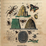 C. Mid 19th Century Natural History Catechism Book with Wonderful Hand-colored Engravings