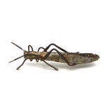 Nicely Crafted, Old Metal Grasshopper (Japanese Okimono?)