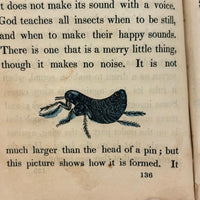 C. Mid 19th Century Natural History Catechism Book with Wonderful Hand-colored Engravings