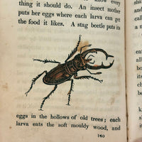 C. Mid 19th Century Natural History Catechism Book with Wonderful Hand-colored Engravings