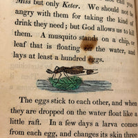 C. Mid 19th Century Natural History Catechism Book with Wonderful Hand-colored Engravings