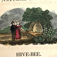 C. Mid 19th Century Natural History Catechism Book with Wonderful Hand-colored Engravings