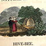 C. Mid 19th Century Natural History Catechism Book with Wonderful Hand-colored Engravings