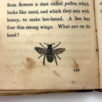 C. Mid 19th Century Natural History Catechism Book with Wonderful Hand-colored Engravings