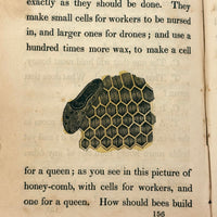 C. Mid 19th Century Natural History Catechism Book with Wonderful Hand-colored Engravings