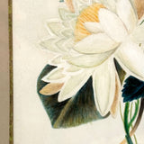 Pretty Package: Waterlily Bouquet with Rosebuds, c. 1870s Watercolor in Gilded Frame