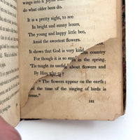 C. Mid 19th Century Natural History Catechism Book with Wonderful Hand-colored Engravings