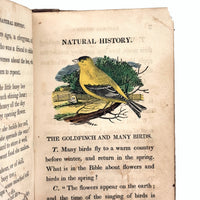 C. Mid 19th Century Natural History Catechism Book with Wonderful Hand-colored Engravings