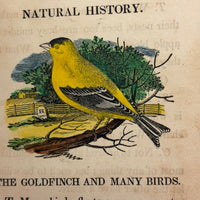 C. Mid 19th Century Natural History Catechism Book with Wonderful Hand-colored Engravings