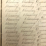 Charming Demonstrations and Lamentations: Earlyish Century Penmanship Practice Notebook
