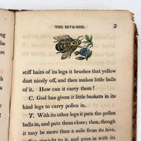 C. Mid 19th Century Natural History Catechism Book with Wonderful Hand-colored Engravings