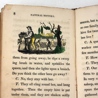 C. Mid 19th Century Natural History Catechism Book with Wonderful Hand-colored Engravings
