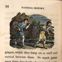 C. Mid 19th Century Natural History Catechism Book with Wonderful Hand-colored Engravings