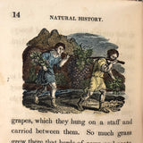 C. Mid 19th Century Natural History Catechism Book with Wonderful Hand-colored Engravings
