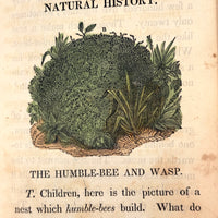 C. Mid 19th Century Natural History Catechism Book with Wonderful Hand-colored Engravings
