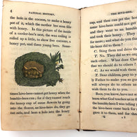 C. Mid 19th Century Natural History Catechism Book with Wonderful Hand-colored Engravings