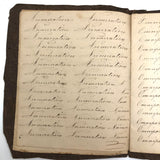 Charming Demonstrations and Lamentations: Earlyish Century Penmanship Practice Notebook