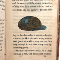 C. Mid 19th Century Natural History Catechism Book with Wonderful Hand-colored Engravings