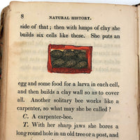 C. Mid 19th Century Natural History Catechism Book with Wonderful Hand-colored Engravings