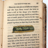 C. Mid 19th Century Natural History Catechism Book with Wonderful Hand-colored Engravings