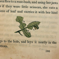 C. Mid 19th Century Natural History Catechism Book with Wonderful Hand-colored Engravings