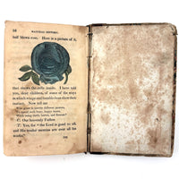 C. Mid 19th Century Natural History Catechism Book with Wonderful Hand-colored Engravings