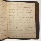 Charming Demonstrations and Lamentations: Earlyish Century Penmanship Practice Notebook