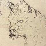 Mouse, Cat, Squirrel: Wonderful 1907 D.B Webber Ink Drawing on Back of Sketchbook Cover