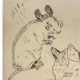 Mouse, Cat, Squirrel: Wonderful 1907 D.B Webber Ink Drawing on Back of Sketchbook Cover