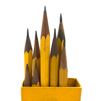 Yellow and More Yellow: Perfectly Sharpened Mixed Lot of Drawing Pencils in Compton Box