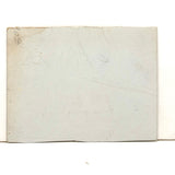 Two Ducks with Tree in Walled Garden: Wonderful 1907 D.B Webber Ink Drawing on Card