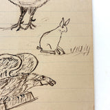 Fish, Roosters, Eagle, Rabbit, Faces: Wonderful 1907 D.B Webber Ink Drawing