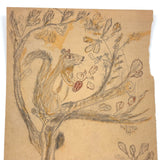 Giant Squirrel in Tree with Nut and Dog Head: Wonderful 1907 D.B Webber Ink and Graphite Drawing